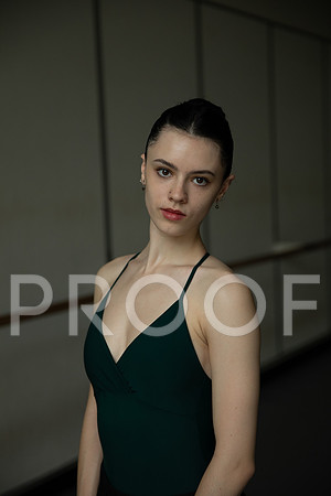 TessFein_2025_003