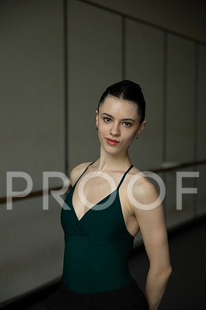 TessFein_2025_001