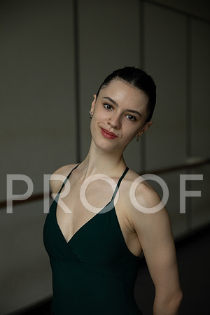 TessFein_2025_008