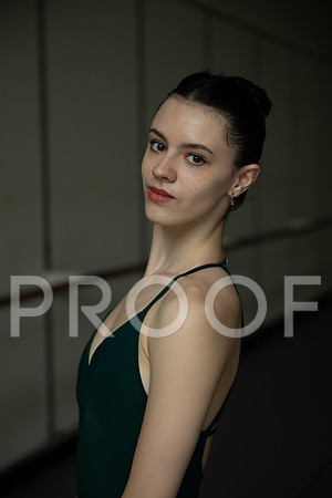 TessFein_2025_012
