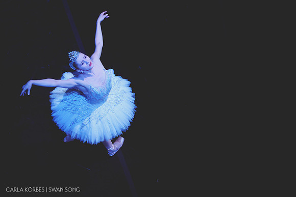 Carla Körbes | Swan Song | Photography by Lindsay Thomas
