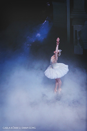 Carla Körbes | Swan Song | Photography by Lindsay Thomas