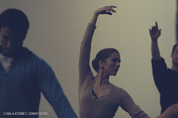 Carla Körbes | Swan Song | Photography by Lindsay Thomas