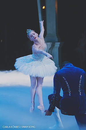 Carla Körbes | Swan Song | Photography by Lindsay Thomas