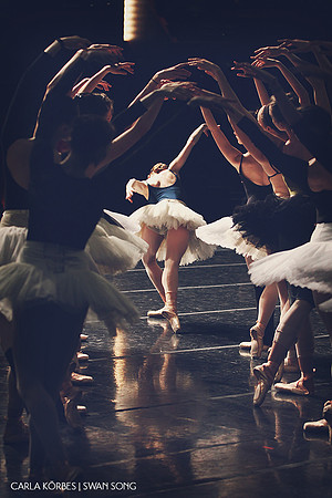Carla Körbes | Swan Song | Photography by Lindsay Thomas