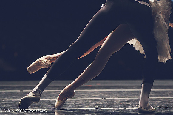 Carla Körbes | Swan Song | Photography by Lindsay Thomas