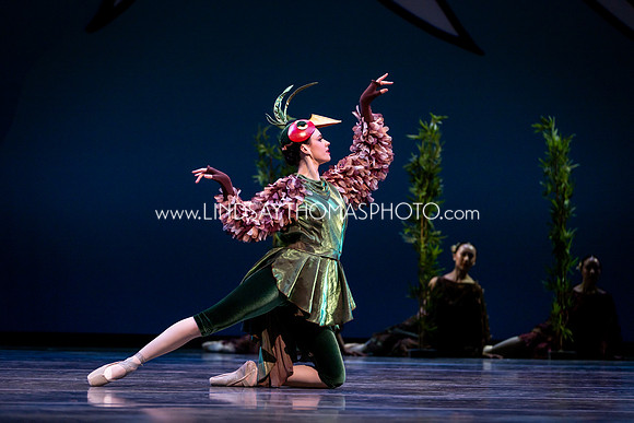 Momotaro_DRESS26_Group1_LT_108
