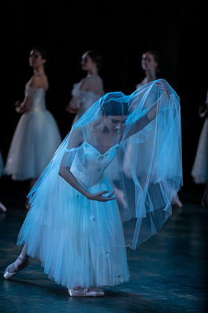 Giselle | Jasmine Jimison | San Francisco Ballet