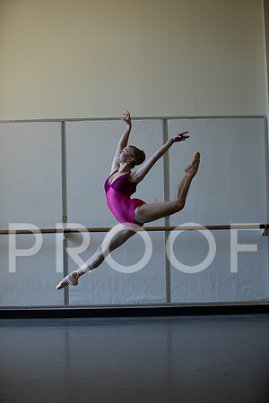 AmeliaErich_2023_103