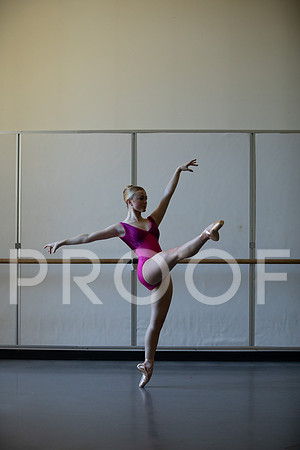 AmeliaErich_2023_132