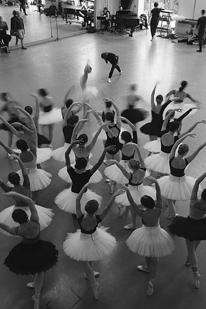Swan Lake rehearsal | corps de ballet | Pacific Northwest Ballet
